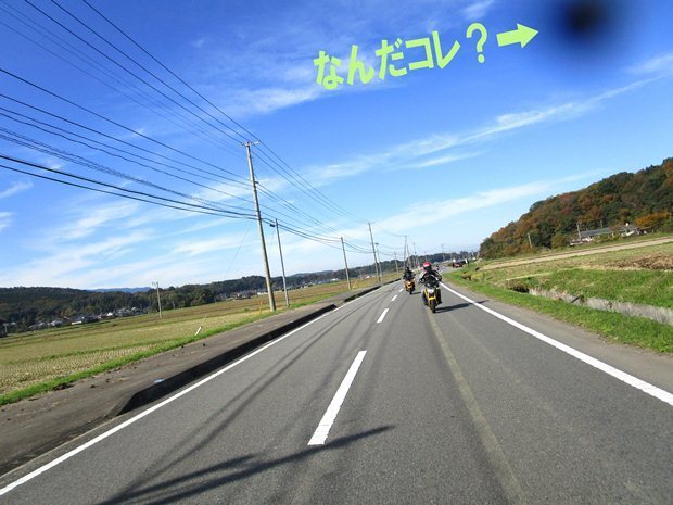 14.JPG