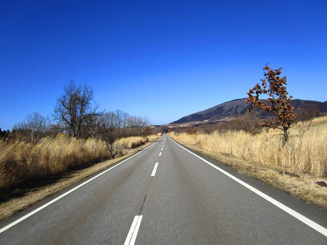 19.JPG