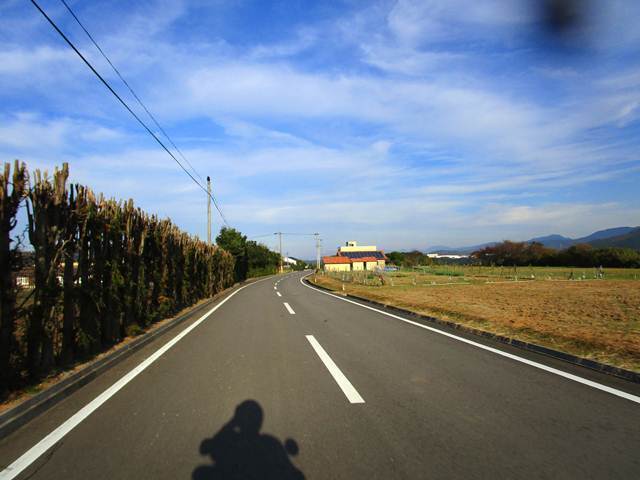 25.JPG