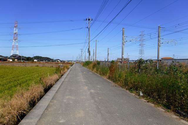 p1.JPG
