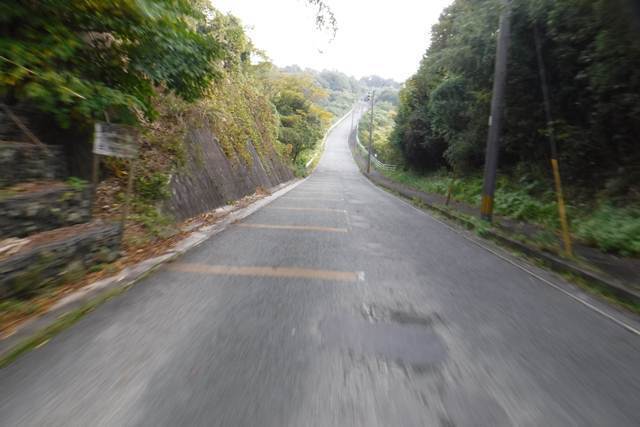 p10.JPG