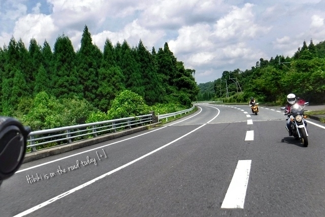 p12.jpg