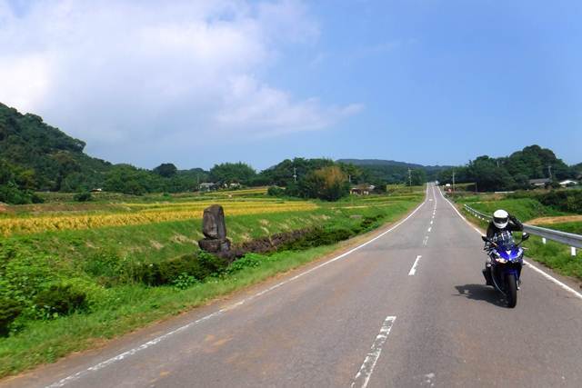 p13.JPG