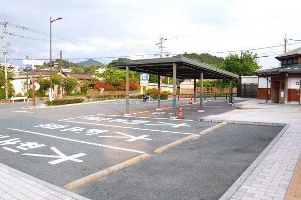 p20.JPG