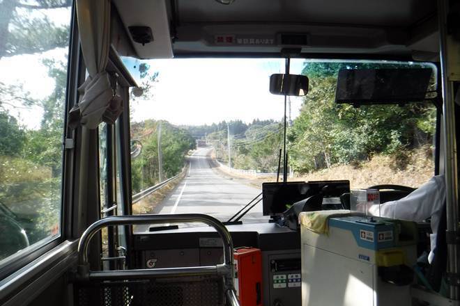 p3.JPG