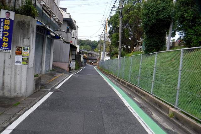 p3.JPG