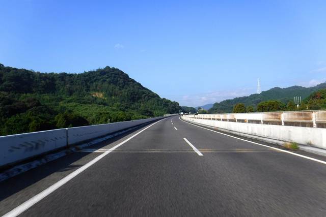 p3.JPG