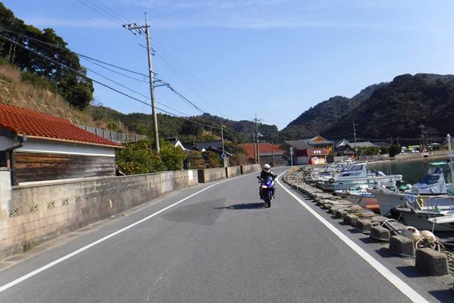 p4.JPG