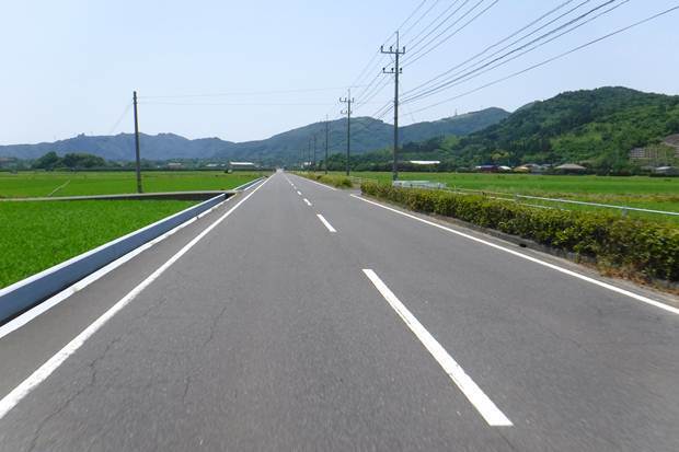 p5.JPG