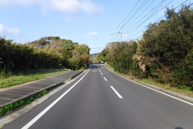 p5.JPG