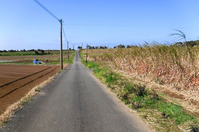 p6.JPG