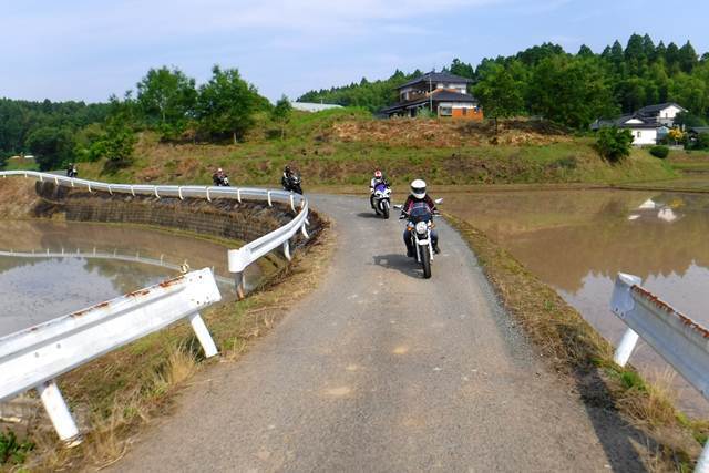 p6.JPG