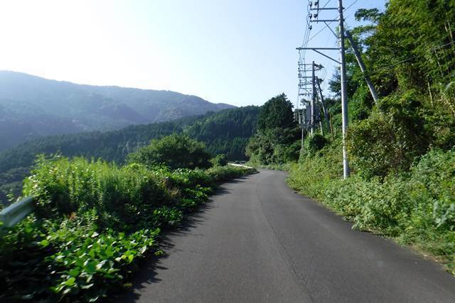p6.JPG