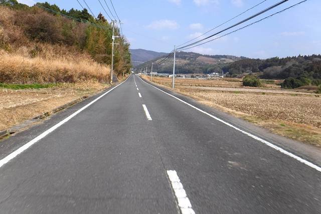 p7.JPG