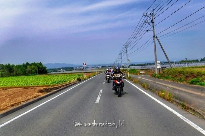 p7.jpg