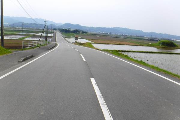 p8.JPG