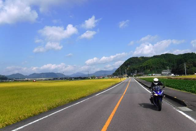 p8.JPG