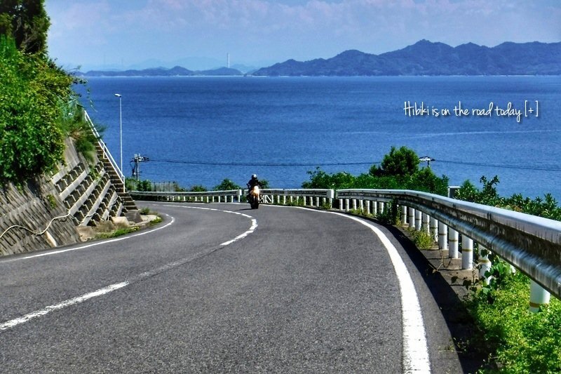 p9.jpg