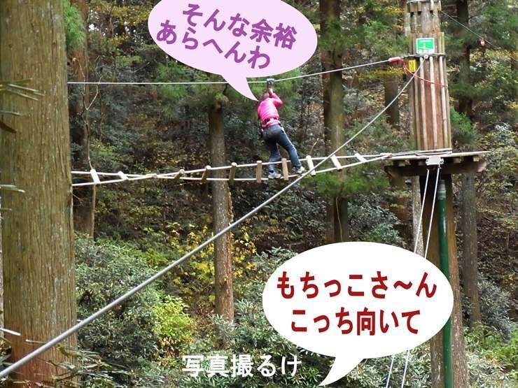 r8.jpg